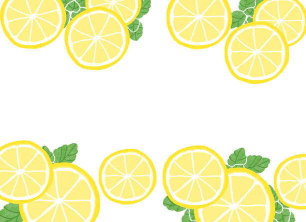 ilustrações, clipart, desenhos animados e ícones de fundo de limão e hortelã - grapefruit backgrounds circle citrus fruit