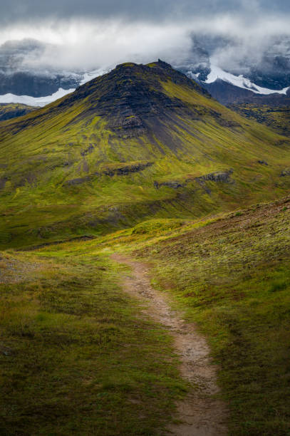 istock Storurd trail and its moss covered mountains 1446126674