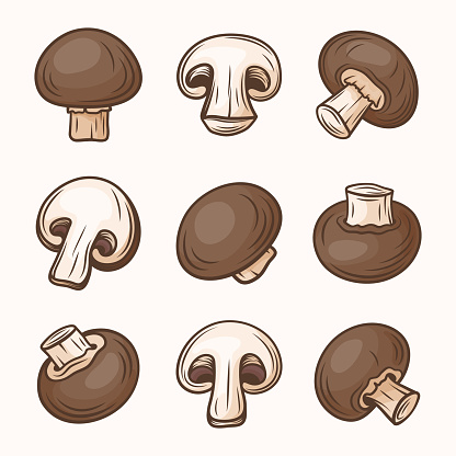 Vector Hand Drawn Brown Champignon Set. Cartoon Champignon Mushrooms. Design Template, Clipart. Agaricus Campestris.