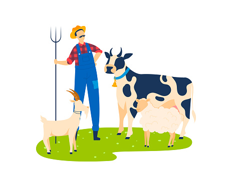 Man stand near domestic animal cow , goat at farm, vector illustration. Cartoon farm cattle, male herdsman at rural nature banner. People character at natural grazier, farming pet feed.
