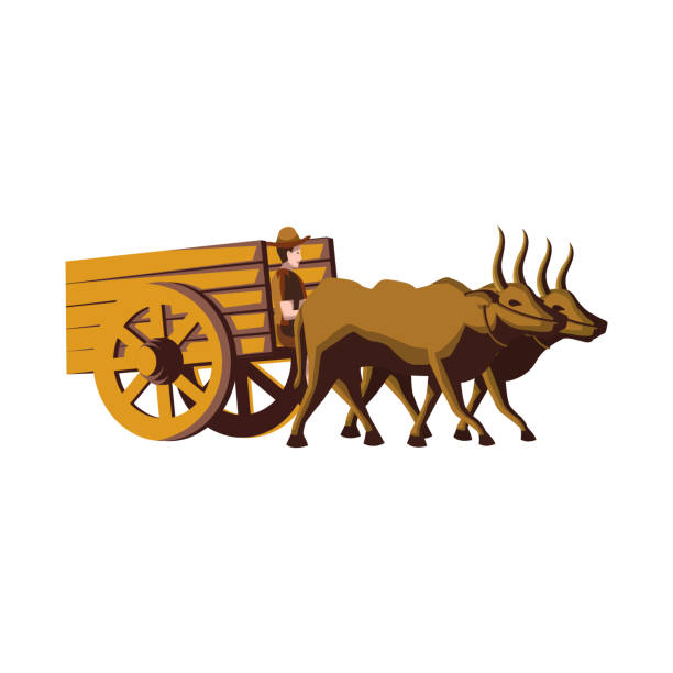ilustrações, clipart, desenhos animados e ícones de clipart da versão dos desenhos animados do carrinho da vaca - oxen yoke