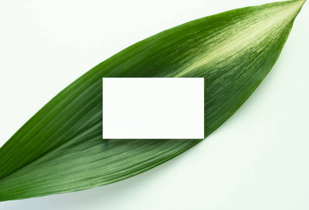 istock Flowers and business cards Mock-up 1446141063
