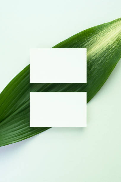 istock Flowers and business cards Mock-up 1446141496