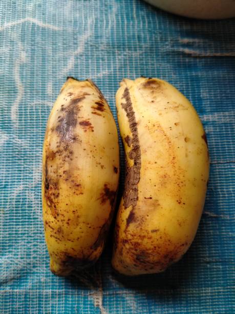istock Overripe bananas taken from a high angle shot 1446145750