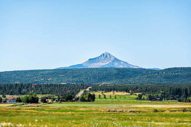 vista del pico wilson en las montañas rocosas desde la autopista 145 en la región de san juan de colorado, cerca de telluride, con campo agrícola en verano día soleado con cielo azul - uncompahgre national forest fotografías e imágenes de stock