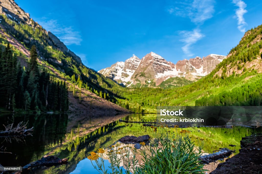 Group of yellow daisy Helianthella uniflora, the oneflower helianthella, flowers wildflowers in foreground of Maroon Bells lake and peak on sunny day in Aspen, Colorado with blue sky Landscape - Scenery Stock Photo