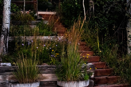 Flower pots plant decorations landscaping terraced along wooden steps on summer day with nobody architecture of garden backyard of house in Colorado, USA at dark night by Aspen trees