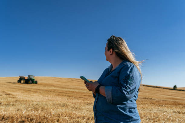 istock Farmer managing the harvest with smartphone 1446150051