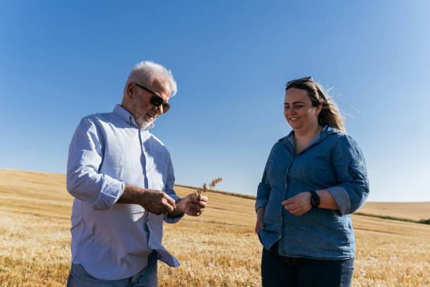 istock Agronomist analyzing oat grains at harvest 1446150077