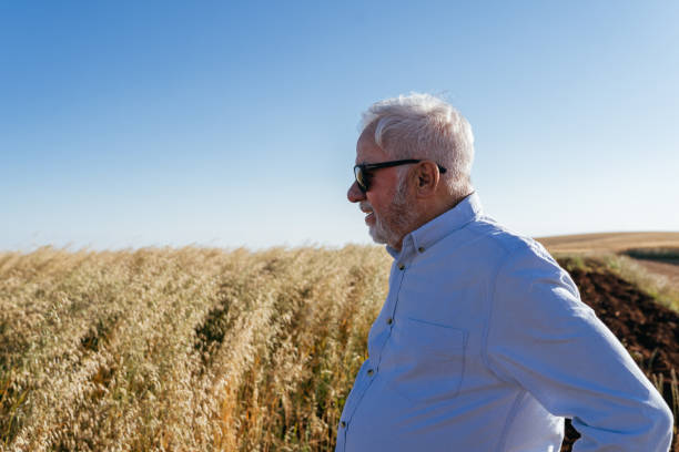 istock Smiling farmer in the oat field 1446150164