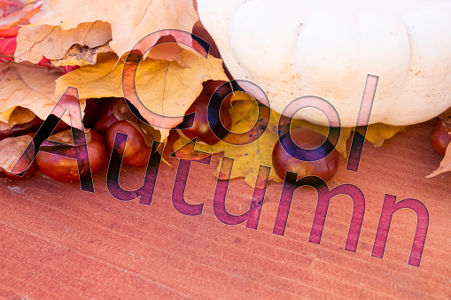 Cool Autumn leaves, objects with Autumn text. Natural patterns, color design.