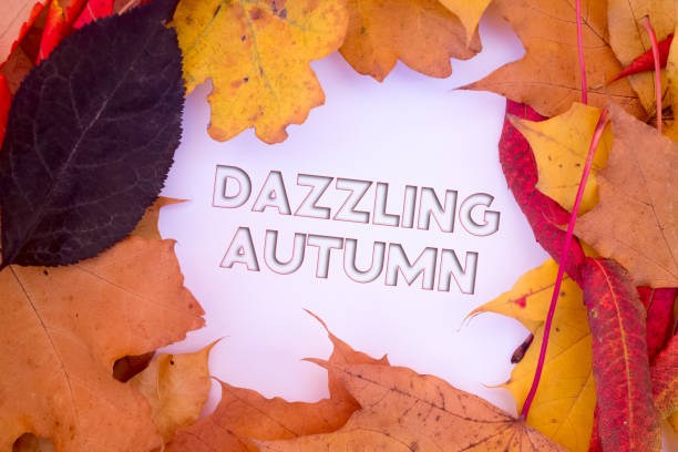 istock Dazzling Autumn leaves, objects with Autumn text. Natural patterns, color design. 1446152664