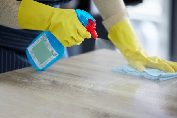 istock Hands, gloves and spray cleaning table with disinfectant for clean house. Kitchen counter, home safety and disinfection with alcohol solution in bottle to protect home from germs, dust and bacteria. 1446155708