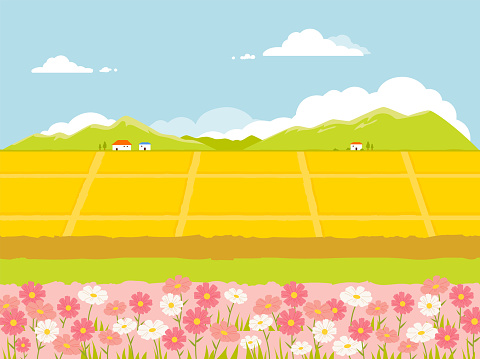 Free Paddy Field Clipart in AI, SVG, EPS or PSD