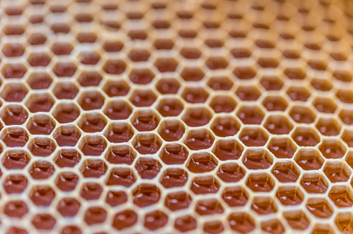 Honeycomb filled with honey A honeycomb is a mass of hexagonal prismatic wax cells built by honey bees in their nests to contain their larvae and stores of honey and pollen.