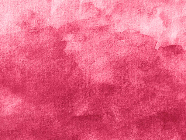 istock Viva Magenta 2023 Color Gradient Watercolor Background 1446161562