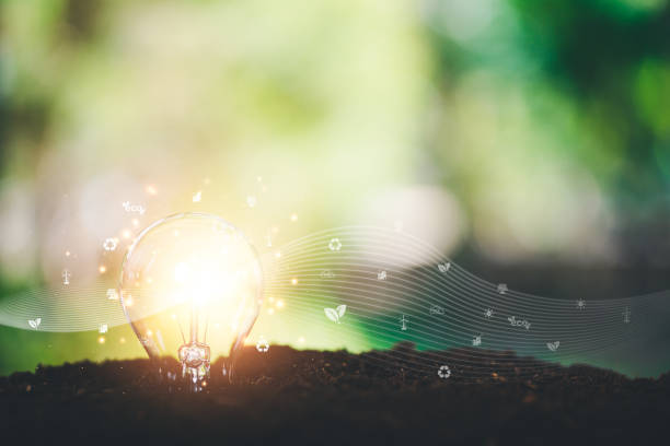 istock protecting the environment alternative energy Sustainable renewable energy sources Green energy innovation and environmentally friendly energy technology,light bulb on the ground 1446166834