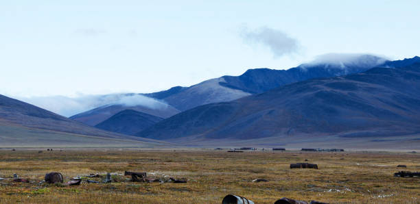 istock Beautiful Chukotka pictures 1446167643