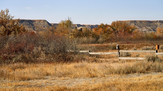 Two bird houses on a rustic wooden fence amongst the vibrant fall colors in the badlands of southern Alberta