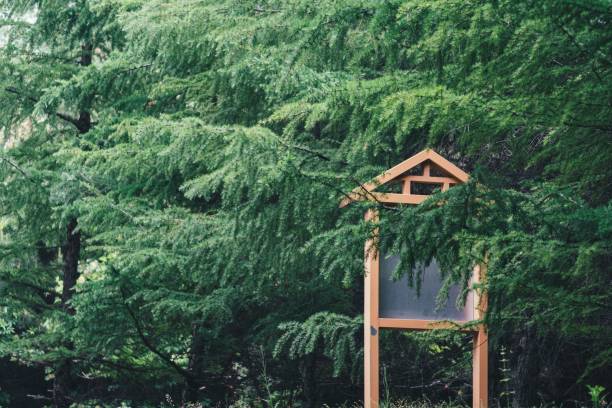istock Wooden information standing in the forest with green trees 1446173618