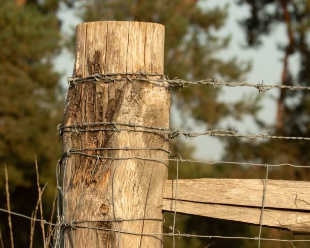 istock Selective focus shot of a weathered fence post wrapped with barbed wire 1446173851