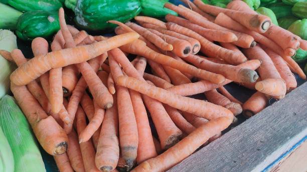 istock fresh carrot from local farmer 1446174254