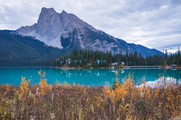 belle vue sur le lac emerald en colombie-britannique, canada - british columbia canada lake emerald lake photos et images de collection