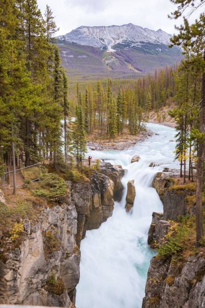 istock Beautiful view of a waterfall from rocks in a forest with large trees 1446174359