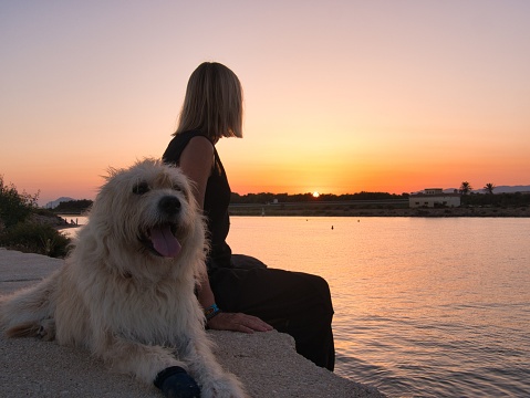 A sapsali breed dog and a young woman sitting by a river during pinky sunset