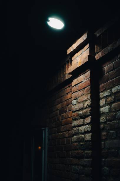 istock Close-up of security wall lighting at night, vertical 1446176789