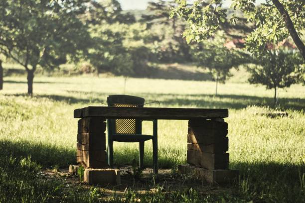 istock Stone table and a chair in  the park 1446176830