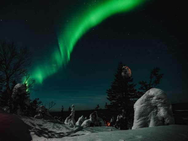 istock Northern lights above Finland 1446176887