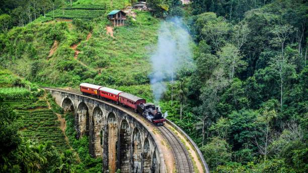 istock Loc Train on Ella Nine Arch Bridge 1446177452