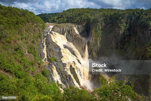 Scenic View Of Barron Falls In Kuranda Queensland Australia Stock Photo - Download Image Now