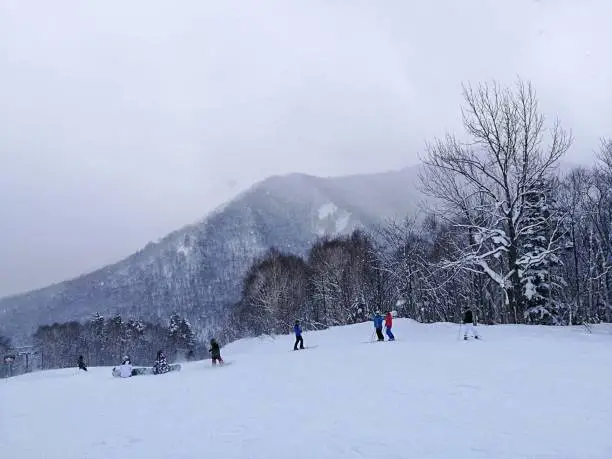 The people skiing in the snowy mountains of Hokkaido, Sapporo
