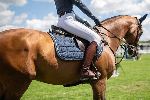 Horse jumping over an obstacle during a showjumping competition.