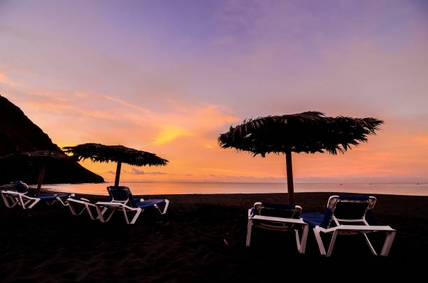 istock Sunbeds and Umbrella , digital , photo, image 1446179298