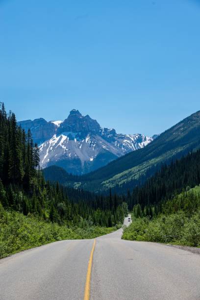 foto vertical de uma estrada de asfalto em uma floresta verde contra montanhas no parque nacional de yoho, canadá - vertical forest national forest woods - fotografias e filmes do acervo