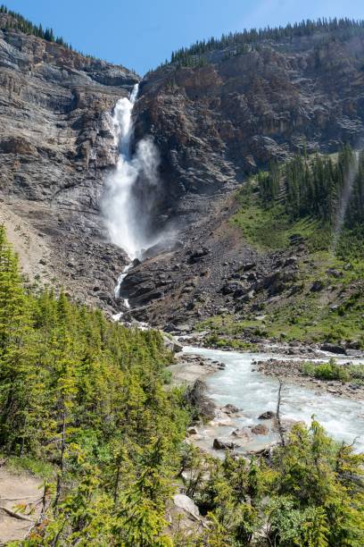 istock Vertical of a waterfall flowing down the rocks in Yoho national park, Canada 1446179500