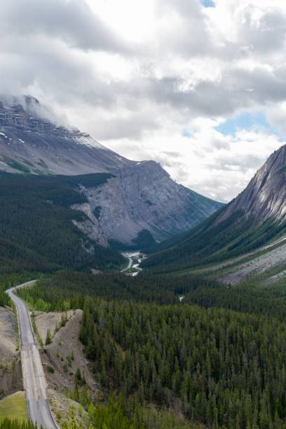 istock Aerial view of mountain landscape surrounded by dense trees 1446179671