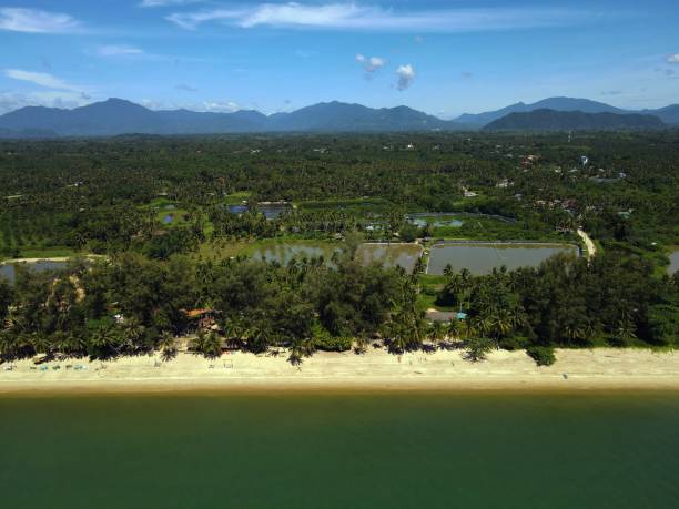 vista aérea da praia de beija-flores no distrito de sihon, nakhon si thammarat, tailândia e água verde - nakhon si thammarat - fotografias e filmes do acervo