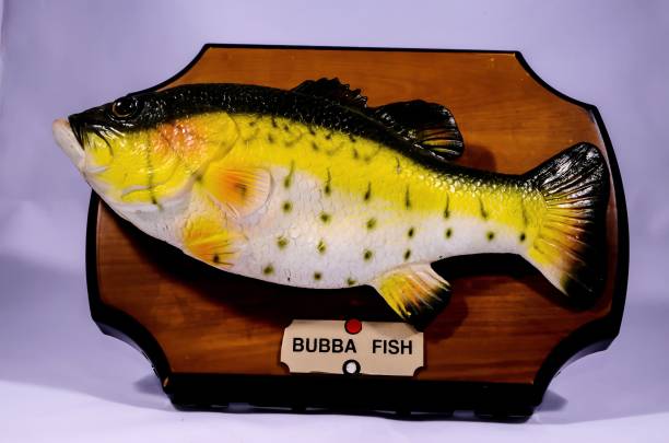istock Wooden Bass Fish Trophy 1446179814