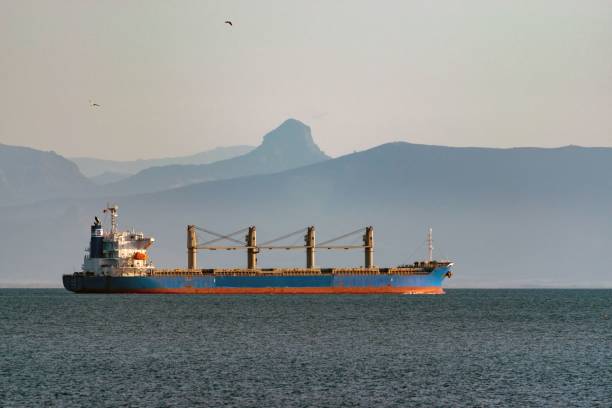 istock Cargo ship on the water surface with mountains in the background 1446181877