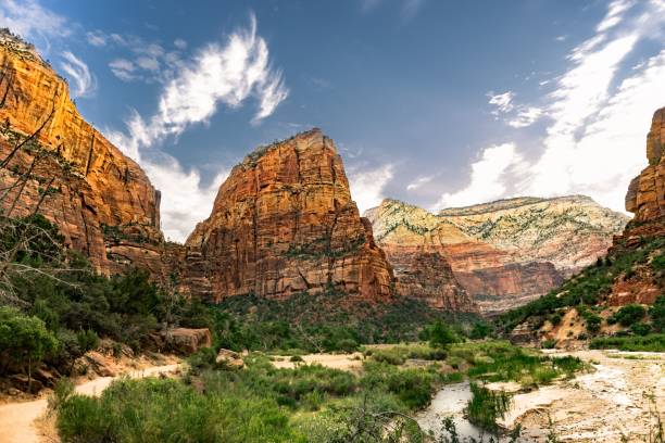 istock Zion National Park in Utah, USA 1446182403