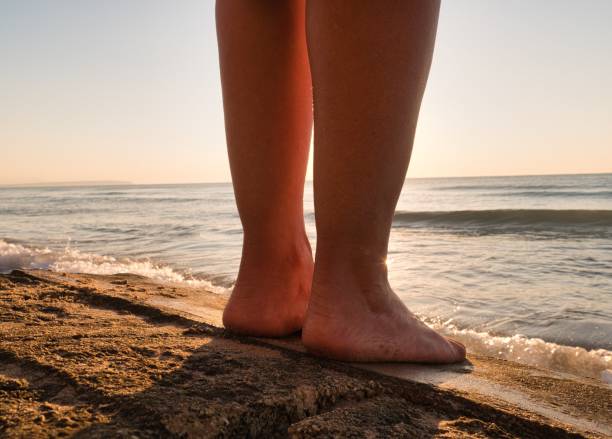 istock Female legs standing on sandy beach touching sea water at sunset 1446182667