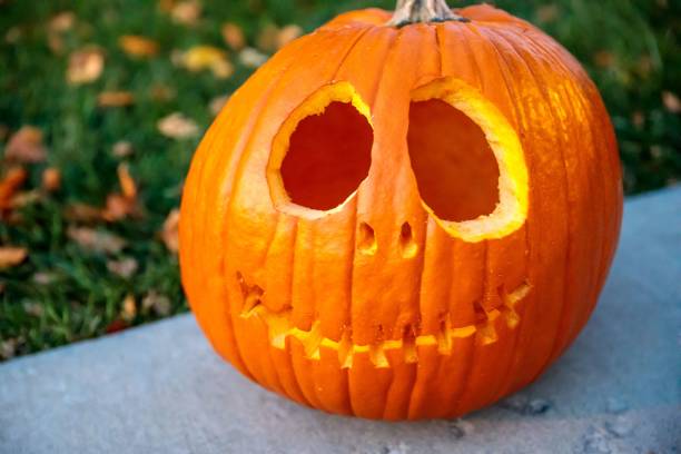 istock Selective focus view of a carved pumpkin Jack-O-Lantern 1446182864