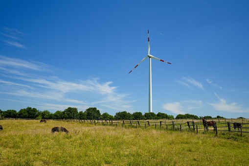 A wind turbine in a field on a clear blue sky background on a sunny day