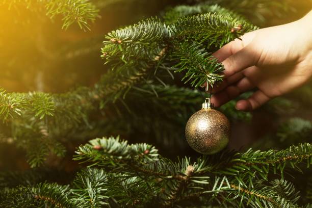 istock Person decorating a Christmas tree with a golden globe on a blurred background 1446183413