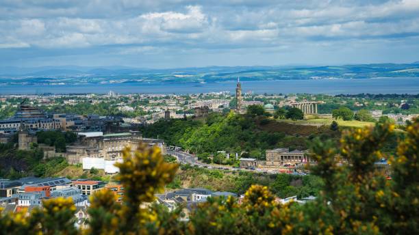 istock Beautiful view of a cityscape from behind plants 1446183685
