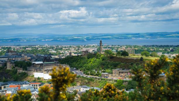 istock Beautiful view of a cityscape from behind plants 1446183687